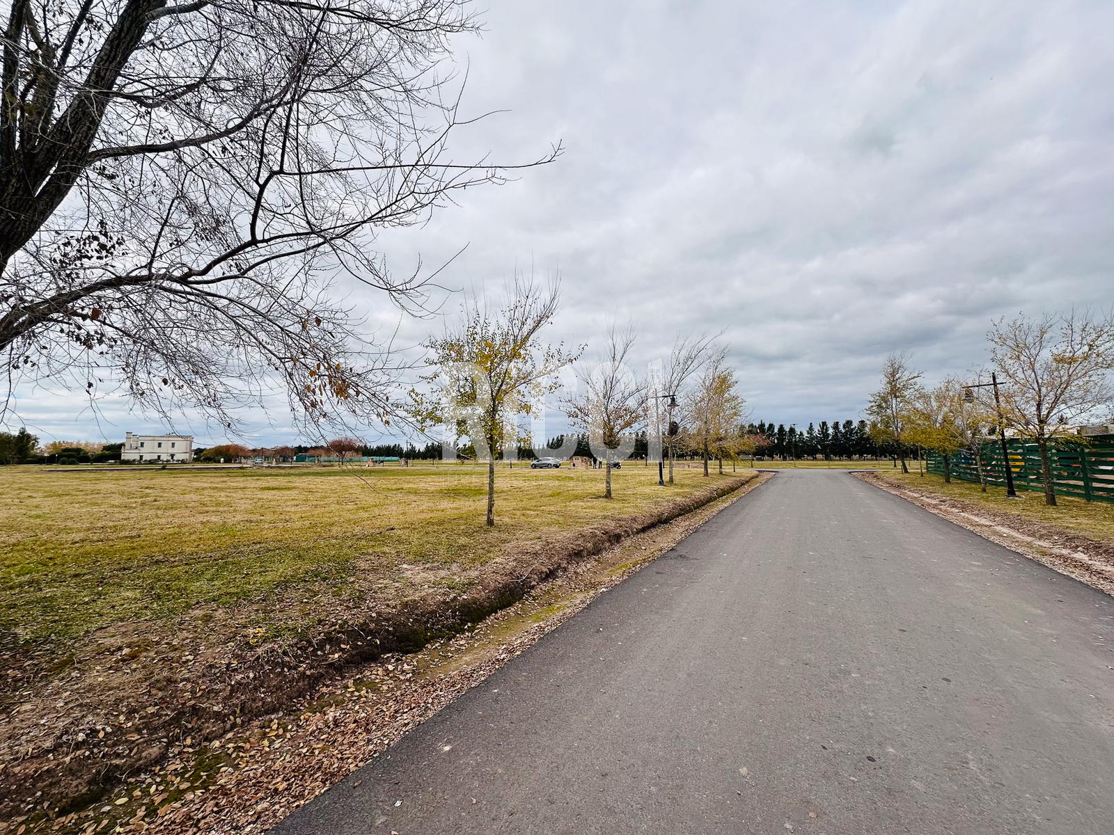 Foto Terreno en Venta en Haras del Sur III, Countries/B.Cerrado (La Plata) Lote en venta I Haras del Sur III 