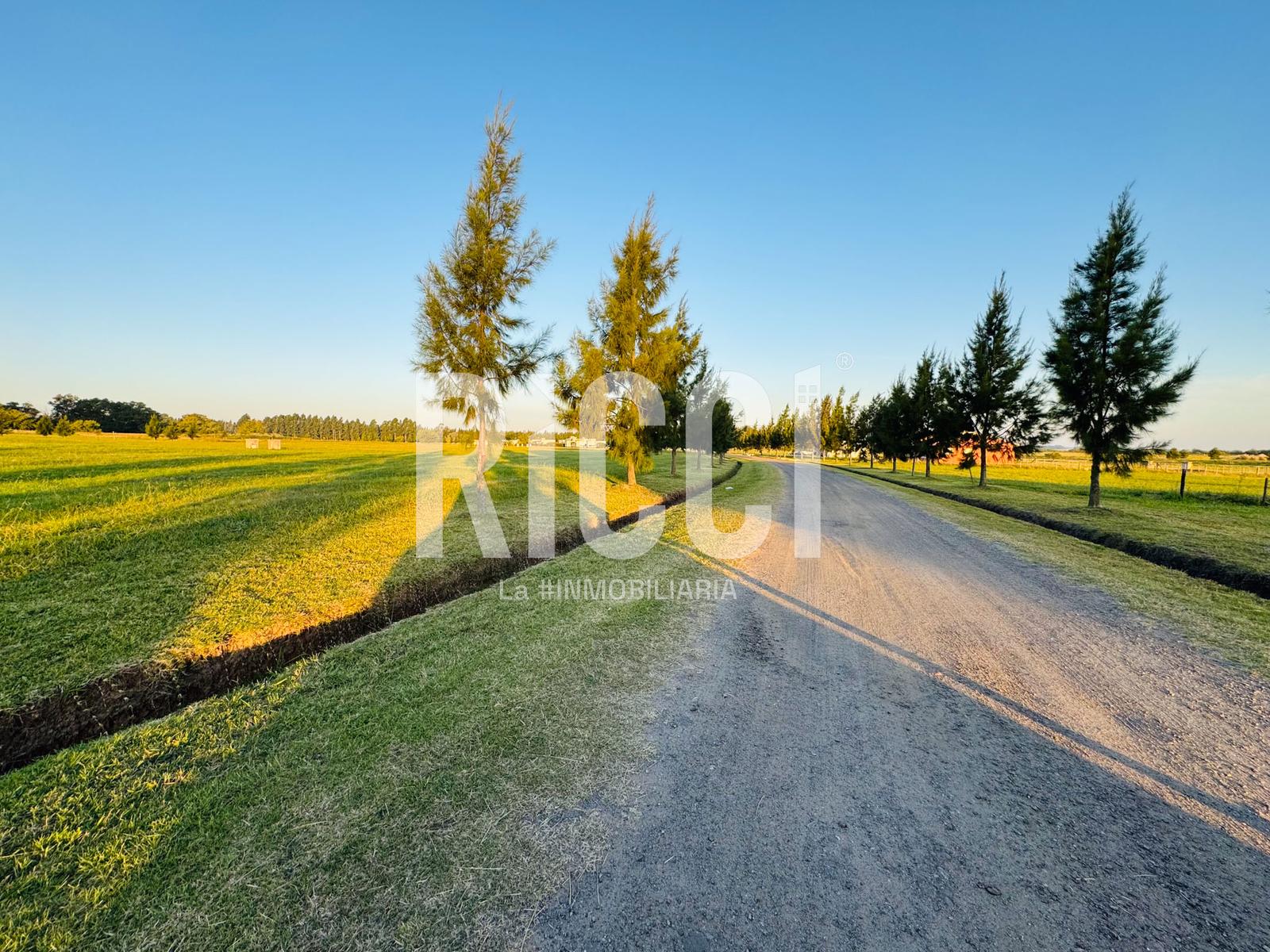 Foto Terreno en Venta en El Mirador, Coronel Brandsen Lote S55