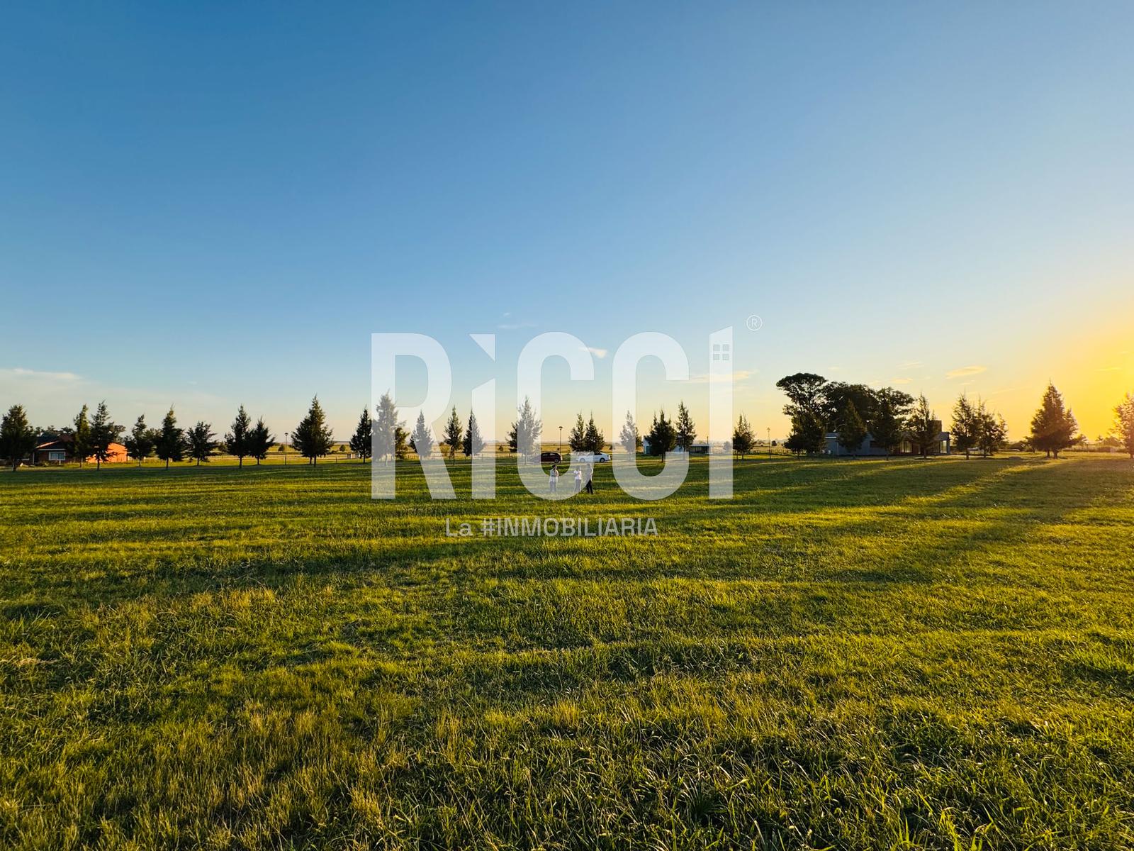Foto Terreno en Venta en El Mirador, Coronel Brandsen Lote S55