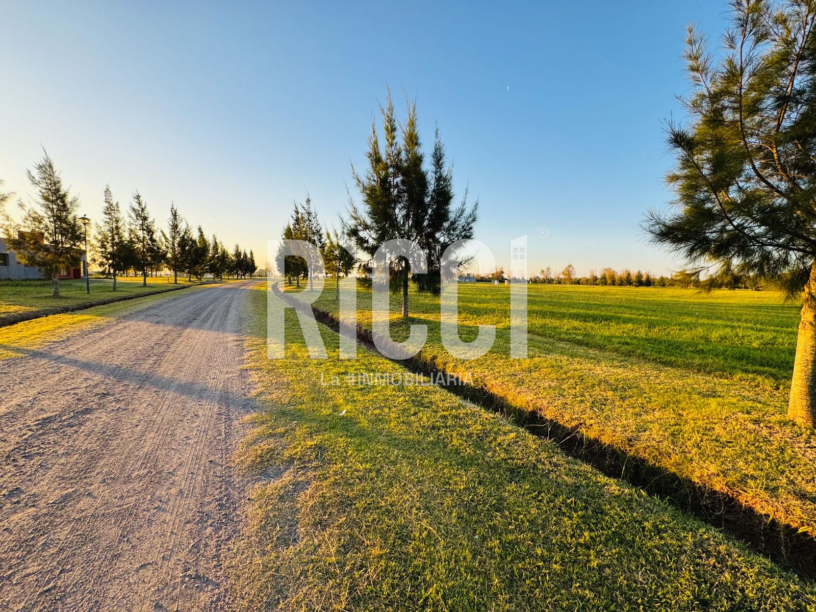 Foto Terreno en Venta en El Mirador, Coronel Brandsen Lote S55