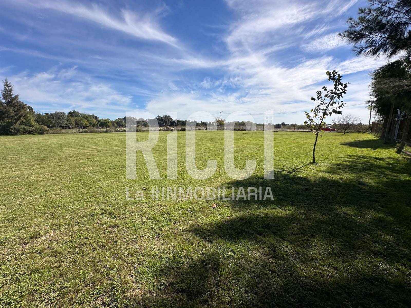 Foto Terreno en Venta en Centro Agricola El Pato, Berazategui 512 al 2900